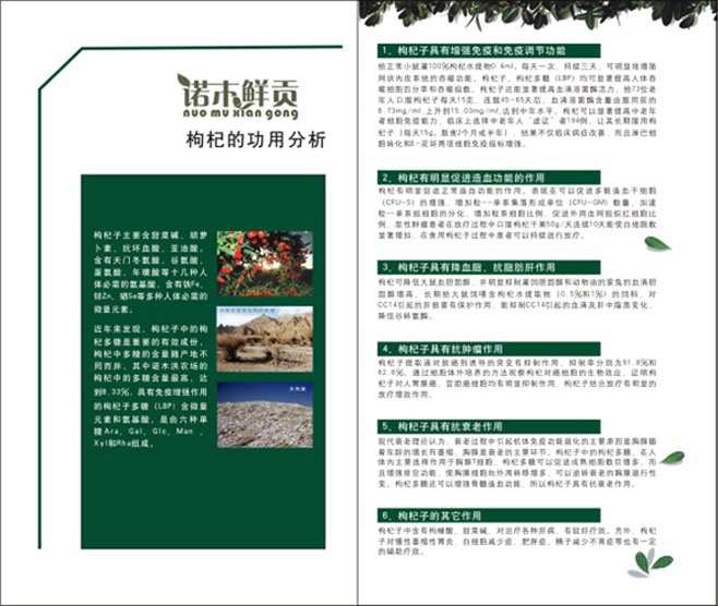 &#20048;&#21160;&#32593;&#39029;&#29256;&#45;&#20048;&#21160;&#40;&#20013;&#22269;&#41;